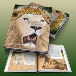 Africa Mammals
